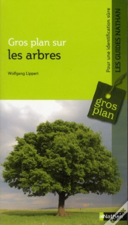 Capa do artigo Gros Plan Sur Les Arbres