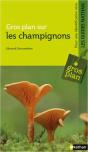 Gros Plan Sur Les Champignons - Preview