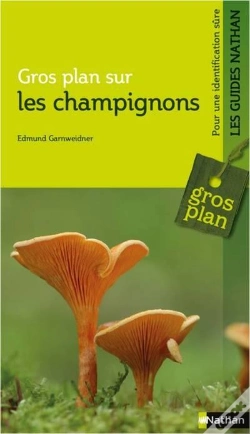 Capa do artigo Gros Plan Sur Les Champignons