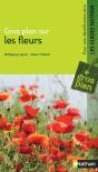 Gros Plan Sur Les Fleurs - Preview