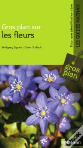 Gros Plan Sur Les Fleurs