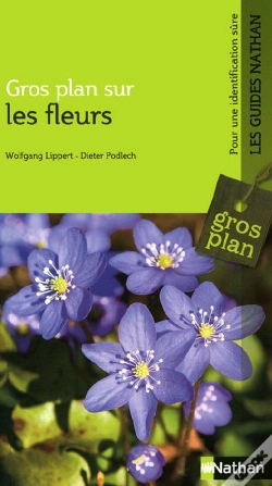 Capa do artigo Gros Plan Sur Les Fleurs