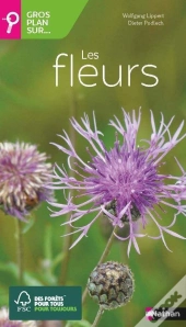 Gros Plan Sur : Les Fleurs