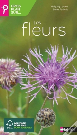 Capa do artigo Gros Plan Sur : Les Fleurs