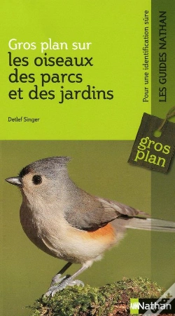 Capa do artigo Gros Plan Sur Les Oiseaux Des Parcs Et Des Jardins