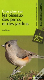 Capa do artigo Gros Plan Sur Les Oiseaux Des Parcs Et Des Jardins