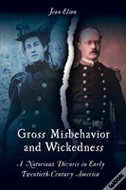 Capa do artigo Gross Misbehavior And Wickedness