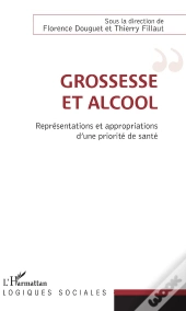 Grossesse Et Alcool ; Représentations Et Appropriations D'Une Priorité De Santé