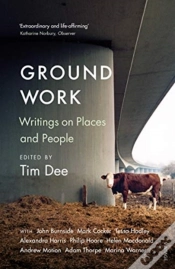 Capa do artigo Ground Work