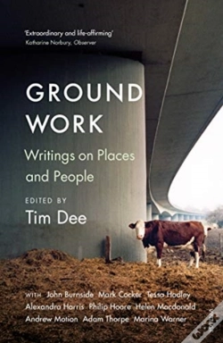 Capa do artigo Ground Work