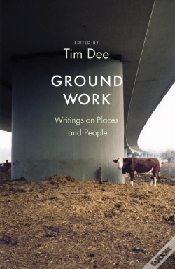 Capa do artigo Ground Work