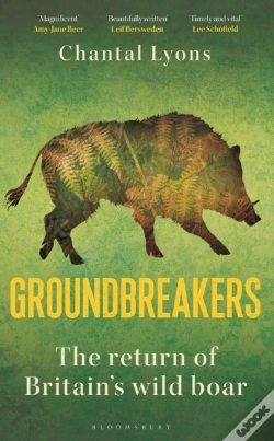 Capa do artigo Groundbreakers