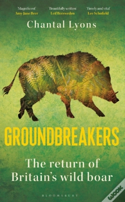 Capa do artigo Groundbreakers