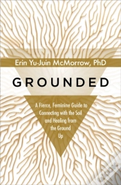 Capa do artigo Grounded