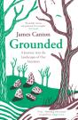 Grounded - Preview
