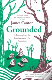 Capa do artigo Grounded