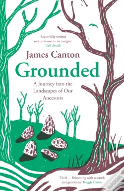 Capa do artigo Grounded