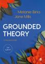 Grounded Theory - Preview