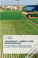 Groundnut + Sweet Corn Intercropping