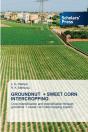 Groundnut + Sweet Corn Intercropping - Preview