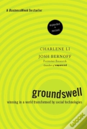 Capa do artigo Groundswell, Expanded And Revised Edition