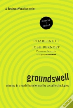 Capa do artigo Groundswell, Expanded And Revised Edition