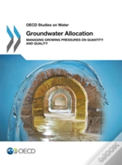 Capa do artigo Groundwater Allocation