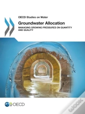 Capa do artigo Groundwater Allocation