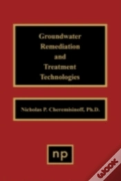 Capa do artigo Groundwater Remediation And Treatment Technologies