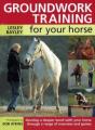 Groundwork Training For Your Horse - Preview