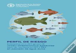 Group B Streptococcus (Gbs) (Spanish Edition)