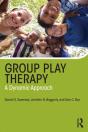 Group Play Therapy - Preview