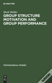 Group Structure Motivation And Group Performance