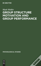 Capa do artigo Group Structure Motivation And Group Performance