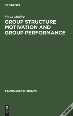 Capa do artigo Group Structure Motivation And Group Performance