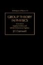 Group Theory In Physics - Preview