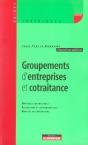 Groupements D'Entreprises Et Cotraitance (2e Edition) - Preview
