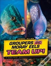 Capa do artigo Groupers And Moray Eels Team Up!