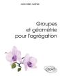 Groupes Et Géometrie Pour L'Agrégation - Preview
