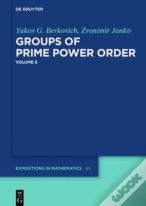 Groups Of Prime Power Order. Volume 6