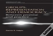 Groups, Representation And Democracy