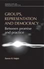 Groups, Representation And Democracy - Preview