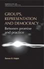 Groups, Representation And Democracy - Preview