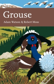 Capa do artigo Grouse
