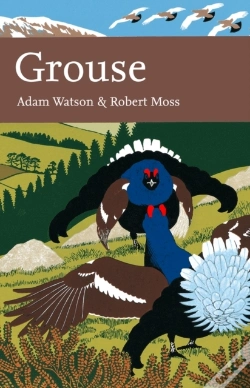 Capa do artigo Grouse