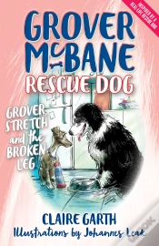Capa do artigo Grover, Stretch And The Broken Leg