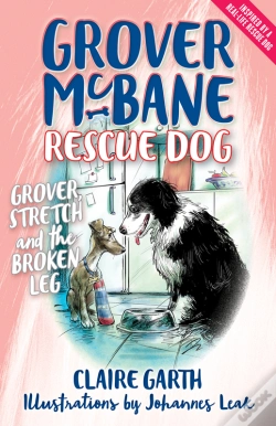 Capa do artigo Grover, Stretch And The Broken Leg