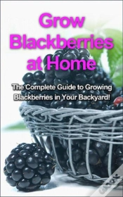 Capa do artigo Grow Blackberries At Home