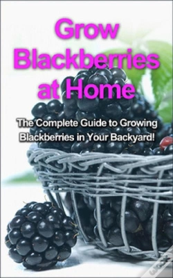 Capa do artigo Grow Blackberries At Home
