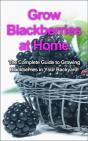 Grow Blackberries At Home - Preview